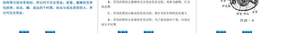 【中考复习方案】2015中考生物总复习 第23课时 生物的生殖和发育课件（考点聚焦+归类探究+回归教材）