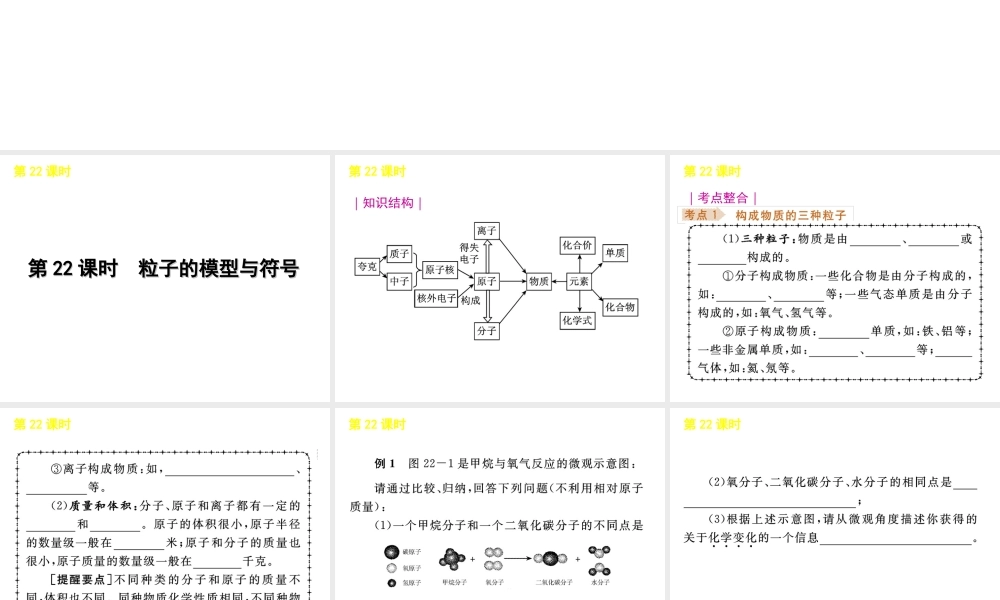 《中考复习方案》九年级科学 第22课时粒子的模型与符号课件 浙教版