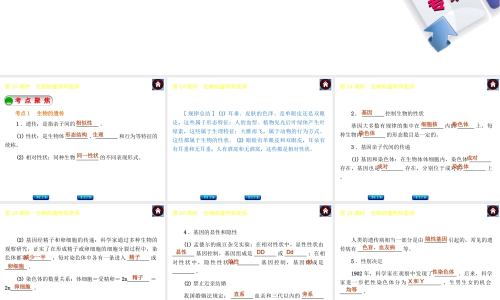 【中考复习方案】2015中考生物总复习 第24课时 生物的遗传和变异课件（考点聚焦+归类探究+回归教材）