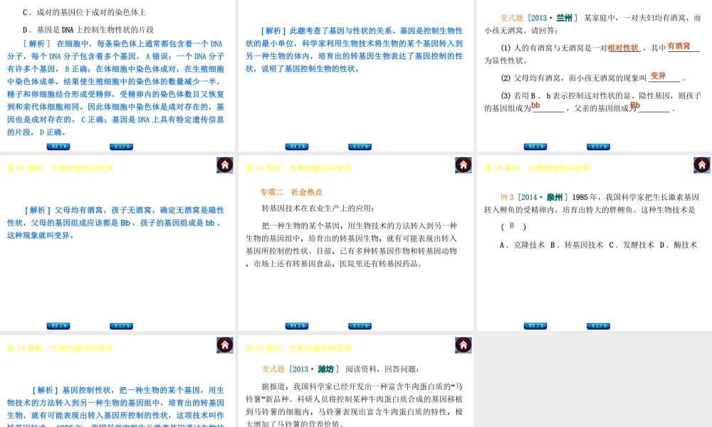【中考复习方案】2015中考生物总复习 第24课时 生物的遗传和变异课件（考点聚焦+归类探究+回归教材）