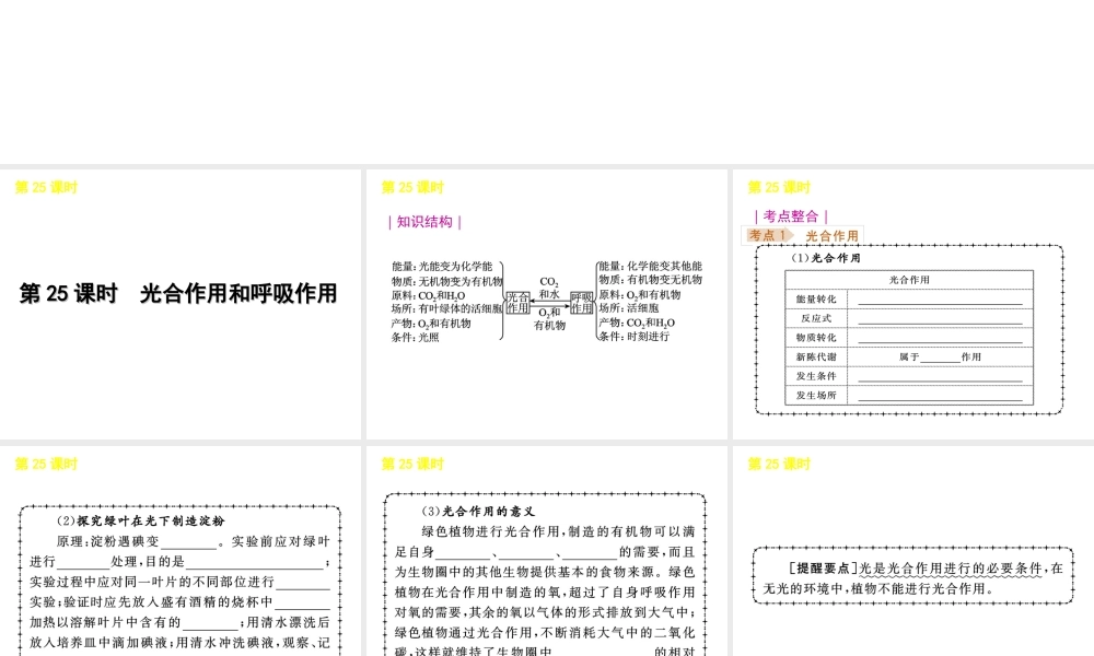 《中考复习方案》九年级科学 第25课时光合作用和呼吸作用课件 浙教版