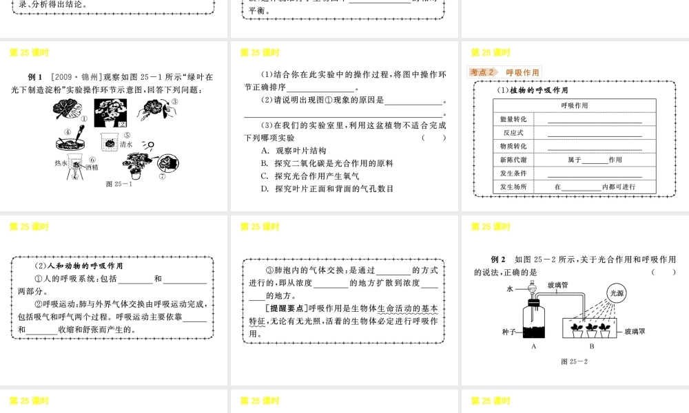 《中考复习方案》九年级科学 第25课时光合作用和呼吸作用课件 浙教版