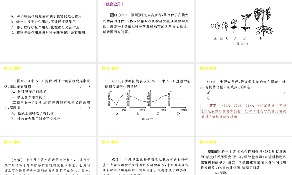 《中考复习方案》九年级科学 第25课时光合作用和呼吸作用课件 浙教版