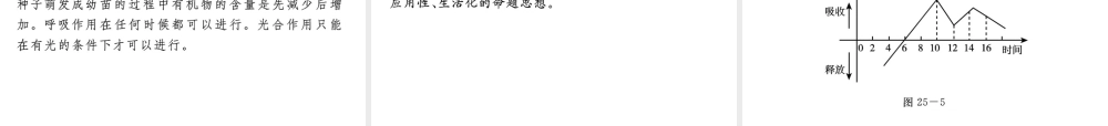 《中考复习方案》九年级科学 第25课时光合作用和呼吸作用课件 浙教版