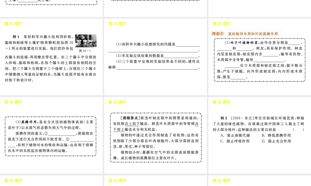 《中考复习方案》九年级科学 第26课时植物与土壤课件 浙教版
