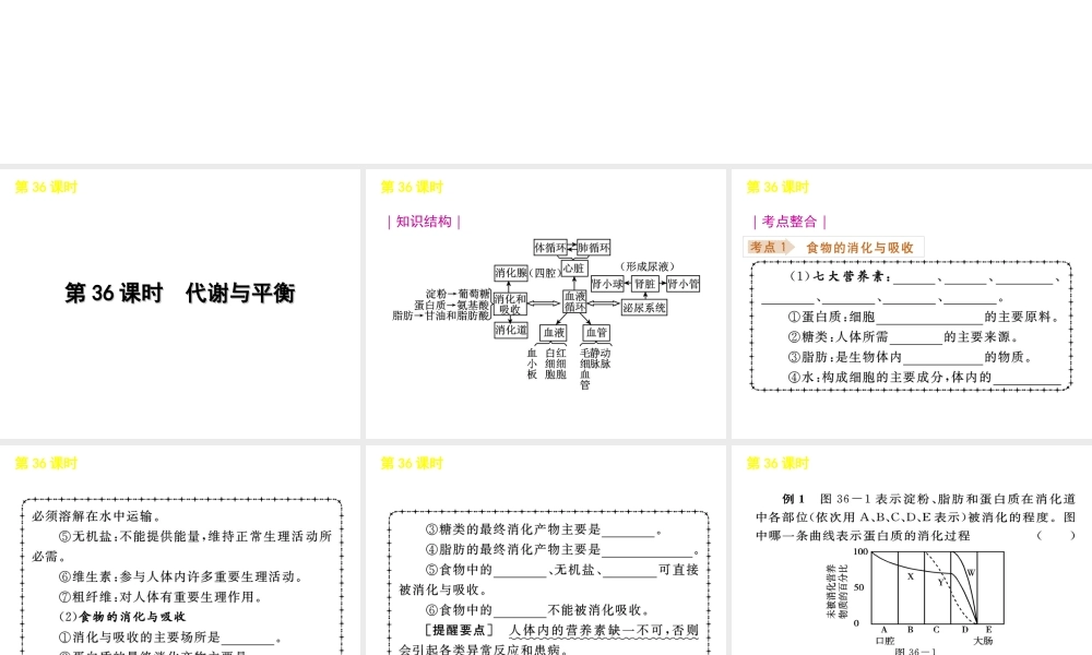 《中考复习方案》九年级科学 第36课时代谢与平衡课件 浙教版