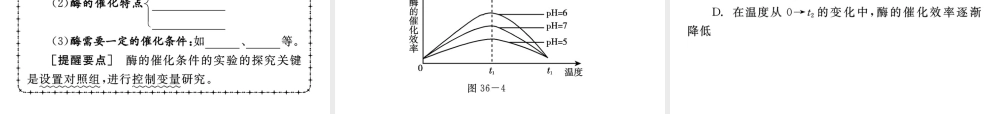 《中考复习方案》九年级科学 第36课时代谢与平衡课件 浙教版