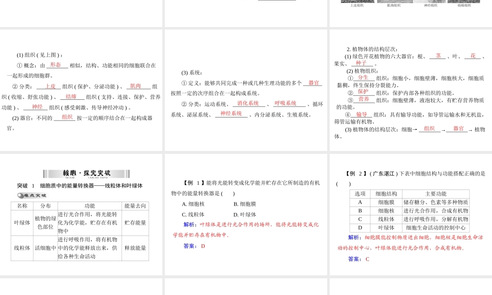 【南方新中考】（梅州）2015中考生物 第一部分 第2单元 第二讲 动植物体的结构层次复习课件
