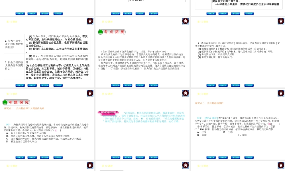 【中考复习方案】2015中考政治总复习 第12课时 公共利益课件 教科版