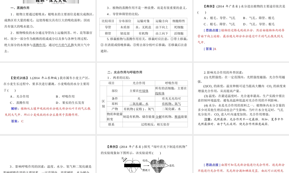 【南方新中考】（南粤专用）2015中考生物 第一部分 第三章 第二讲 绿色植物的作用复习课件