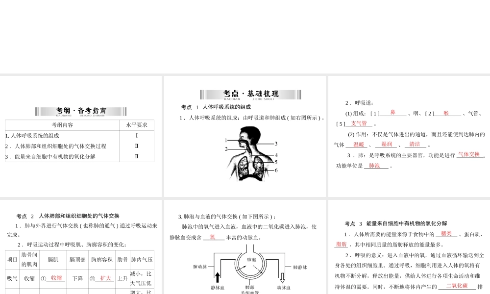 【南方新中考】（南粤专用）2015中考生物 第一部分 第四章 第二讲 人体的呼吸复习课件