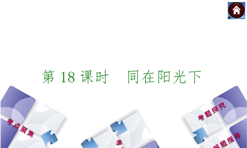 【中考复习方案】2015中考政治总复习 第18课时 同在阳光下课件 教科版