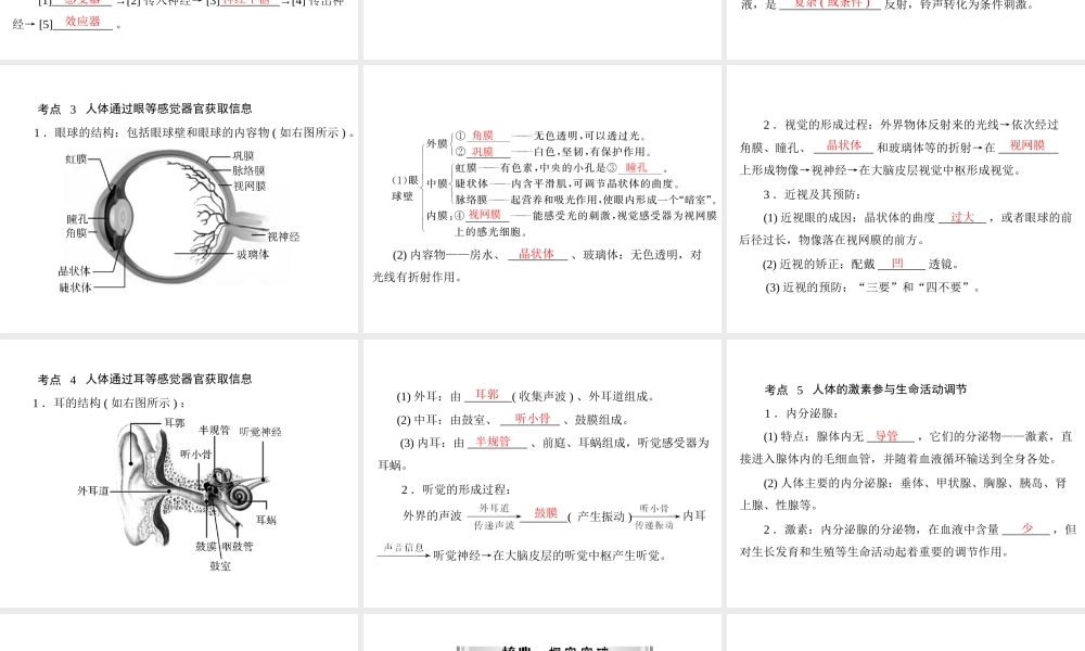 【南方新中考】（南粤专用）2015中考生物 第一部分 第四章 第四讲 人体的生命活动调节复习课件