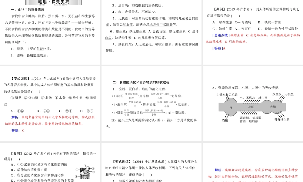 【南方新中考】（南粤专用）2015中考生物 第一部分 第四章 第一讲 人体的营养复习课件