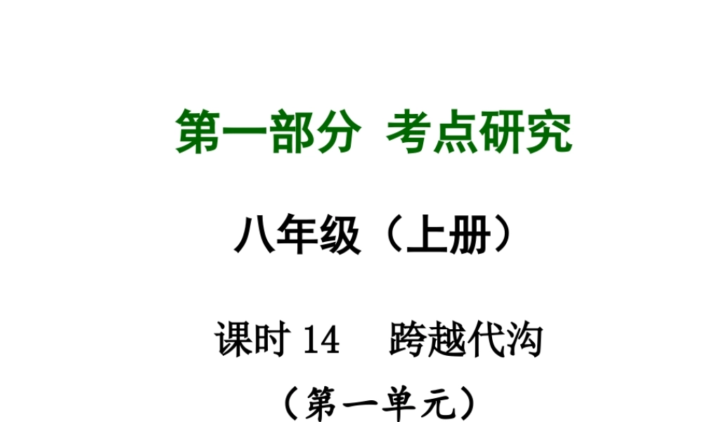 【中考试题研究】四川省2015届中考总复习 课时14 跨越代沟课件