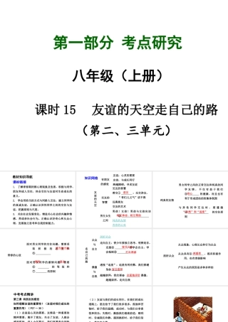 【中考试题研究】四川省2015届中考总复习 课时15 友谊的天空 走自己的路课件