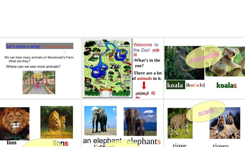 Unit 5 Why do you like pandas Period 1课件1