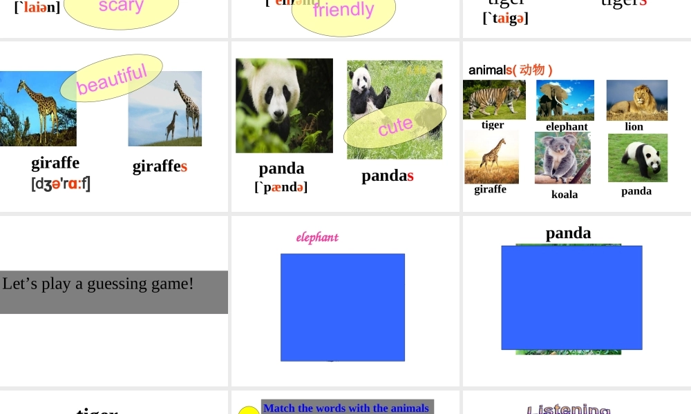 Unit 5 Why do you like pandas Period 1课件1