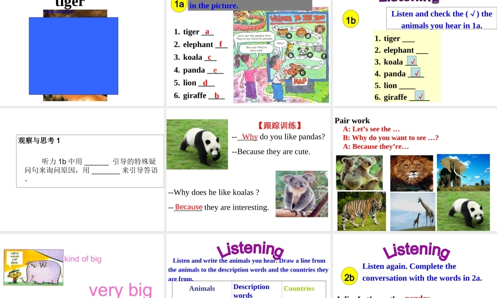 Unit 5 Why do you like pandas Period 1课件1