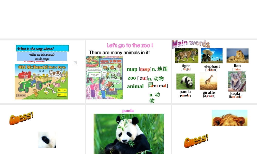 Unit 5 Why do you like pandas Period 1课件2