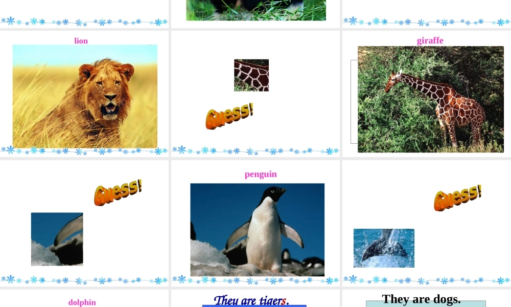 Unit 5 Why do you like pandas Period 1课件2