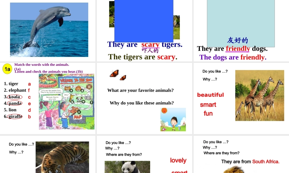 Unit 5 Why do you like pandas Period 1课件2