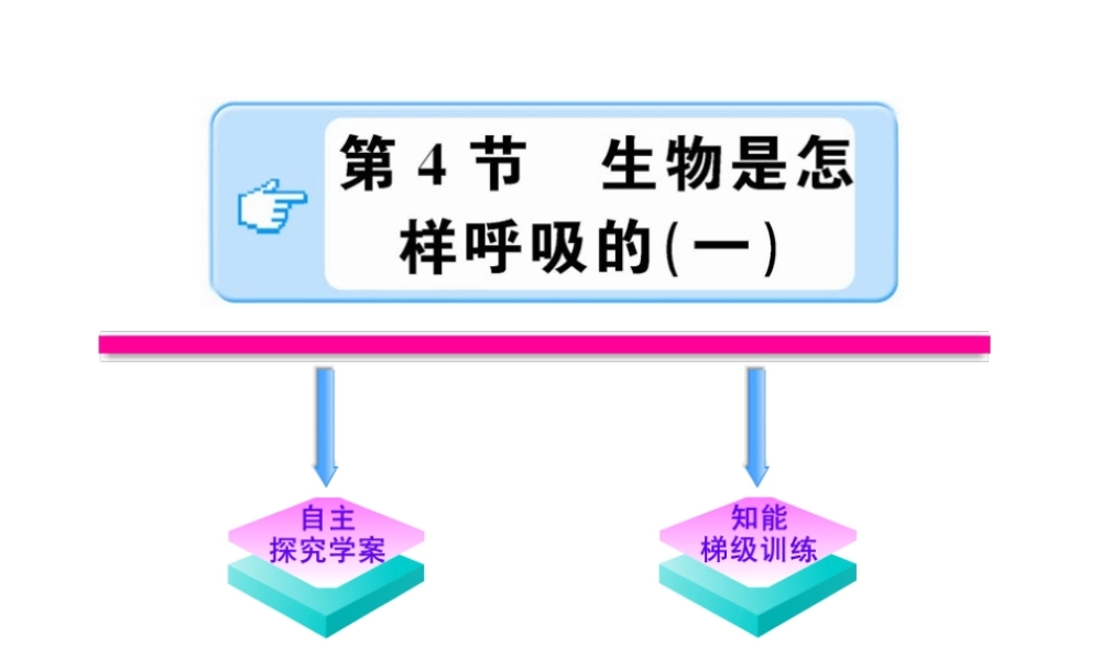 【金榜学案】2011版八年级科学下册  2.4.1《生物是怎样呼吸的》课件 浙教版