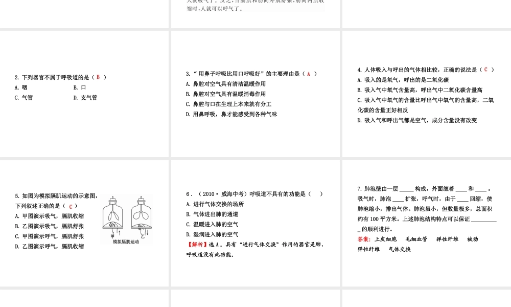 【金榜学案】2011版八年级科学下册  2.4.1《生物是怎样呼吸的》课件 浙教版