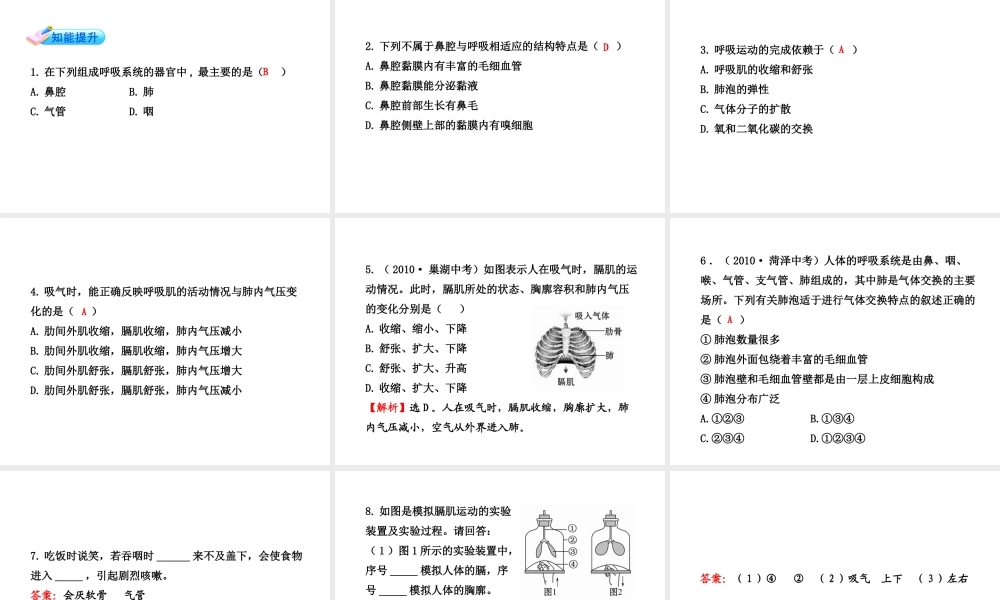 【金榜学案】2011版八年级科学下册  2.4.1《生物是怎样呼吸的》课件 浙教版