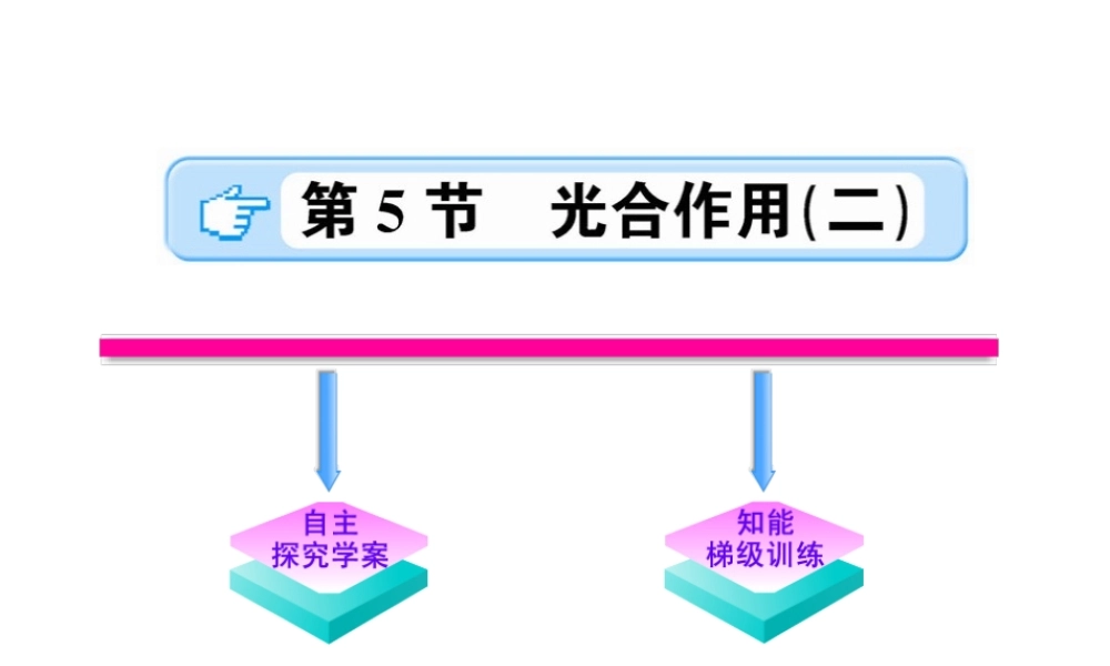 【金榜学案】2011版八年级科学下册  2.5.2《光合作用》课件 浙教版