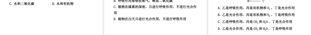 【金榜学案】2011版八年级科学下册  2.5.2《光合作用》课件 浙教版
