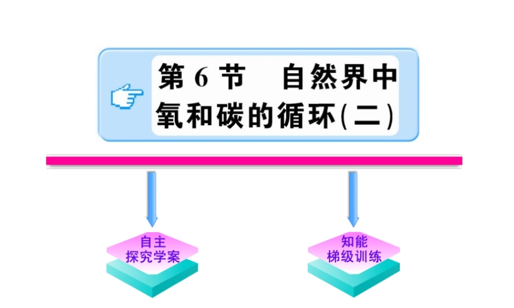 【金榜学案】2011版八年级科学下册  2.6.2《自然界中氧和碳的循环》课件 浙教版