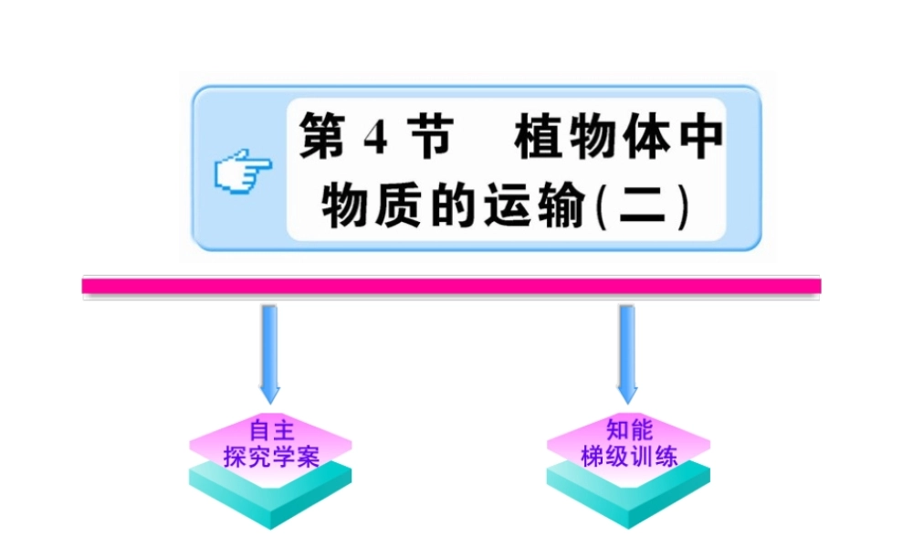 【金榜学案】2011版八年级科学下册  3.4.2《植物体中物质的运输》课件 浙教版