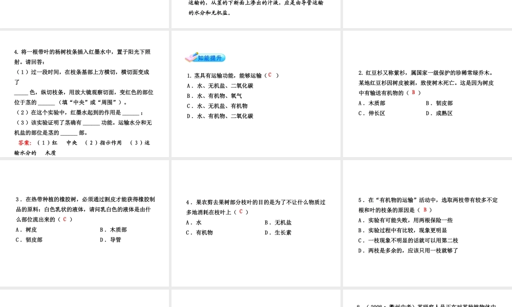 【金榜学案】2011版八年级科学下册  3.4.2《植物体中物质的运输》课件 浙教版