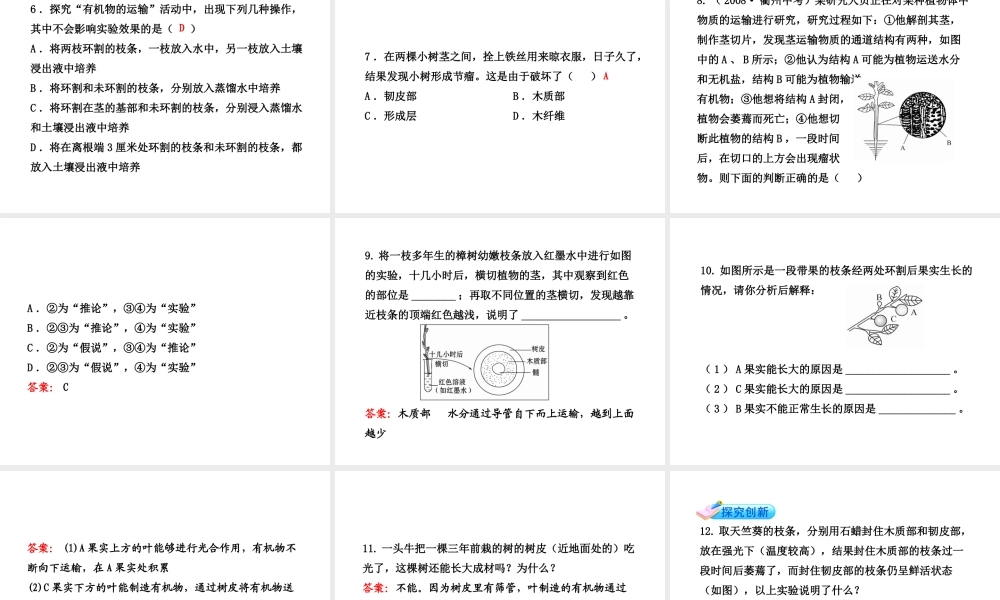 【金榜学案】2011版八年级科学下册  3.4.2《植物体中物质的运输》课件 浙教版