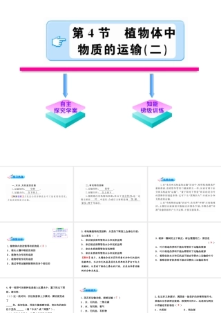 【金榜学案】2011版八年级科学下册  3.4.2《植物体中物质的运输》课件 浙教版