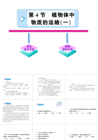 【金榜学案】2011版八年级科学下册 《植物体中物质的运输》课件 浙教版
