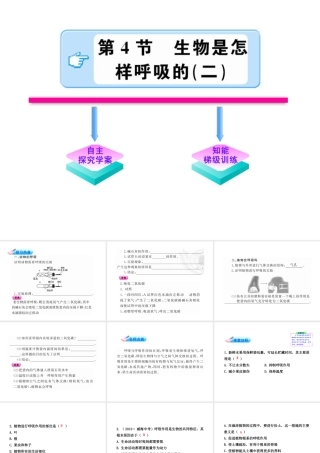 【金榜学案】2011版八年级科学下册 2.4.2《生物是怎样呼吸的》课件 浙教版