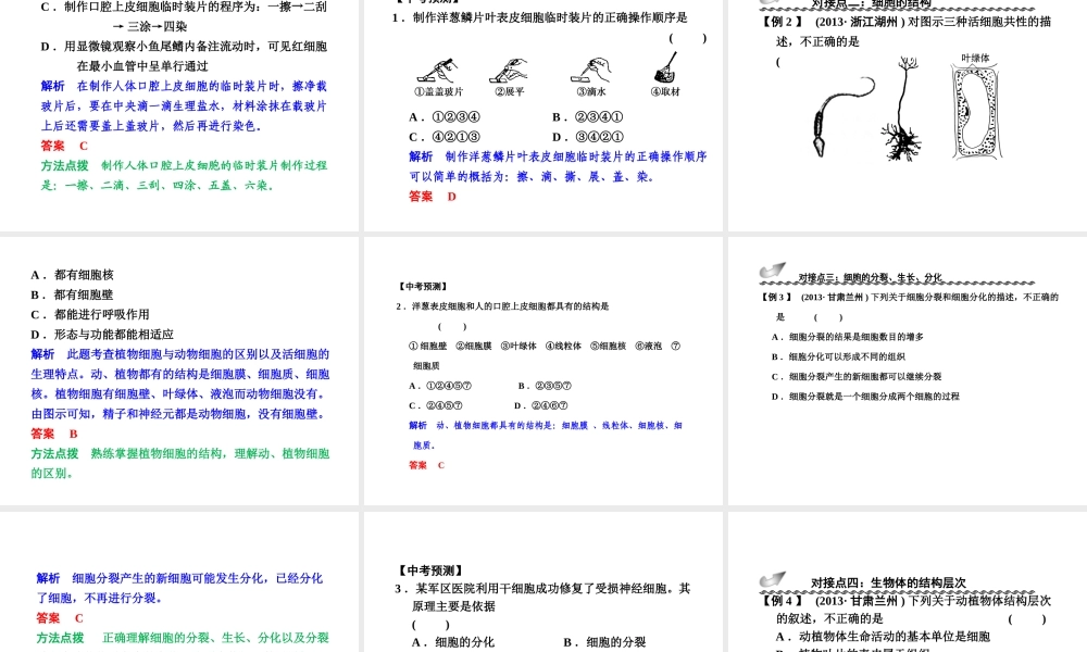 【步步高】浙江省2014年中考科学一轮复习 第35讲 生物体的结构层次课件