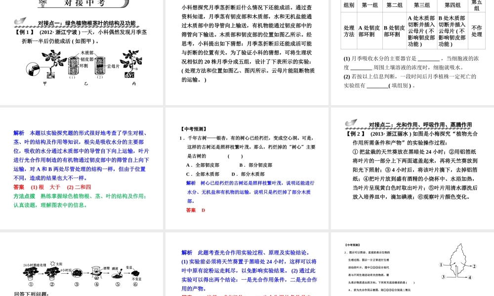 【步步高】浙江省2014年中考科学一轮复习 第37讲 绿色植物的新陈代谢课件