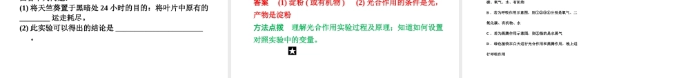【步步高】浙江省2014年中考科学一轮复习 第37讲 绿色植物的新陈代谢课件