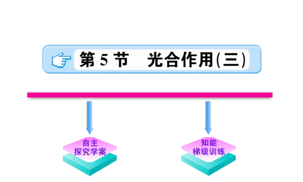 【金榜学案】2011版八年级科学下册 2.5.3《光合作用》课件 浙教版