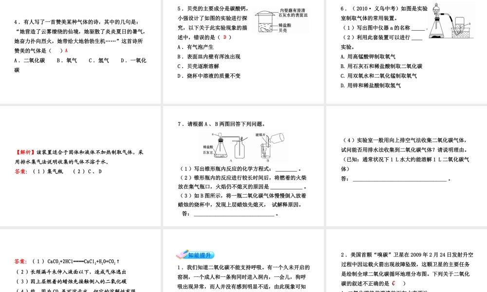 【金榜学案】2011版八年级科学下册 2.5.3《光合作用》课件 浙教版
