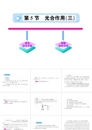 【金榜学案】2011版八年级科学下册 2.5.3《光合作用》课件 浙教版