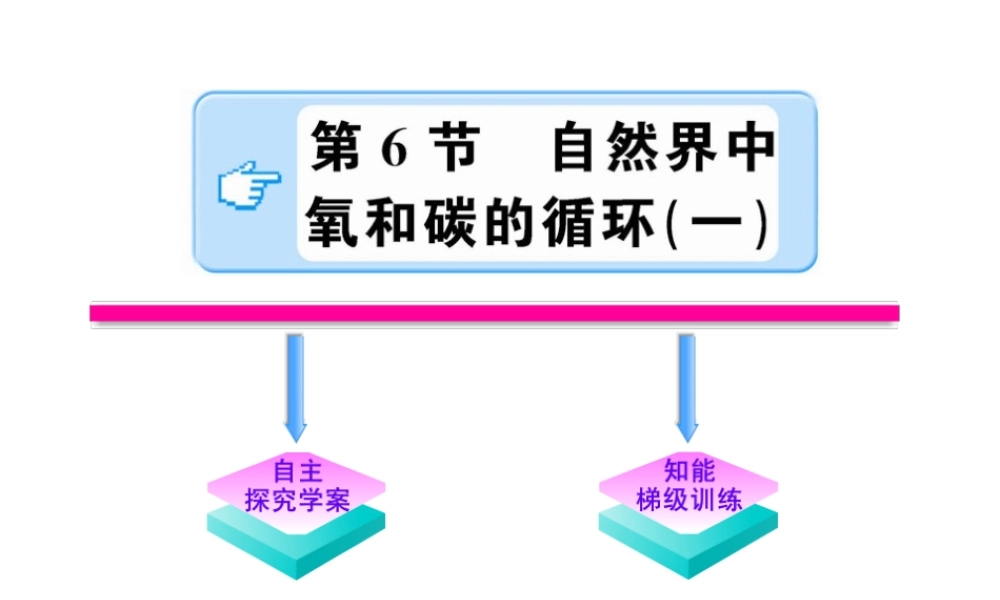 【金榜学案】2011版八年级科学下册 2.6.1《自然界中氧和碳的循环》课件 浙教版