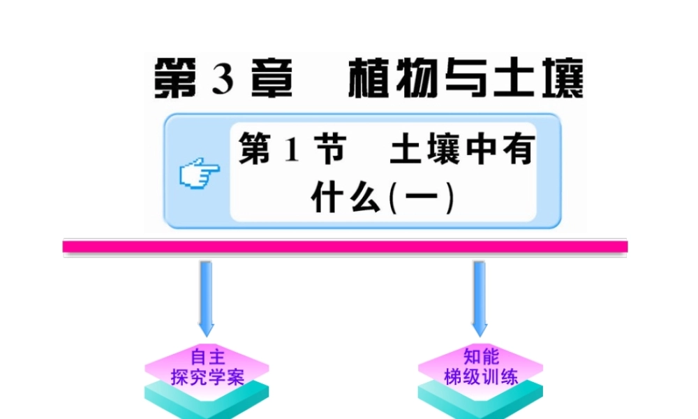 【金榜学案】2011版八年级科学下册 3.1.1《土壤中有什么》课件 浙教版