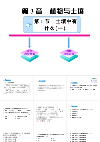 【金榜学案】2011版八年级科学下册 3.1.1《土壤中有什么》课件 浙教版