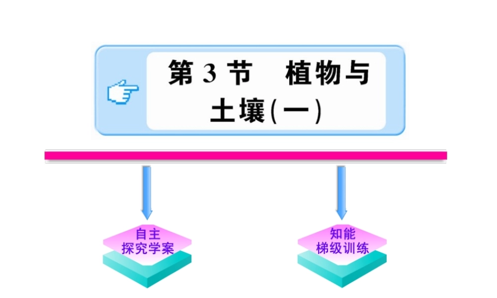 【金榜学案】2011版八年级科学下册 3.3.1《植物与土壤》课件 浙教版