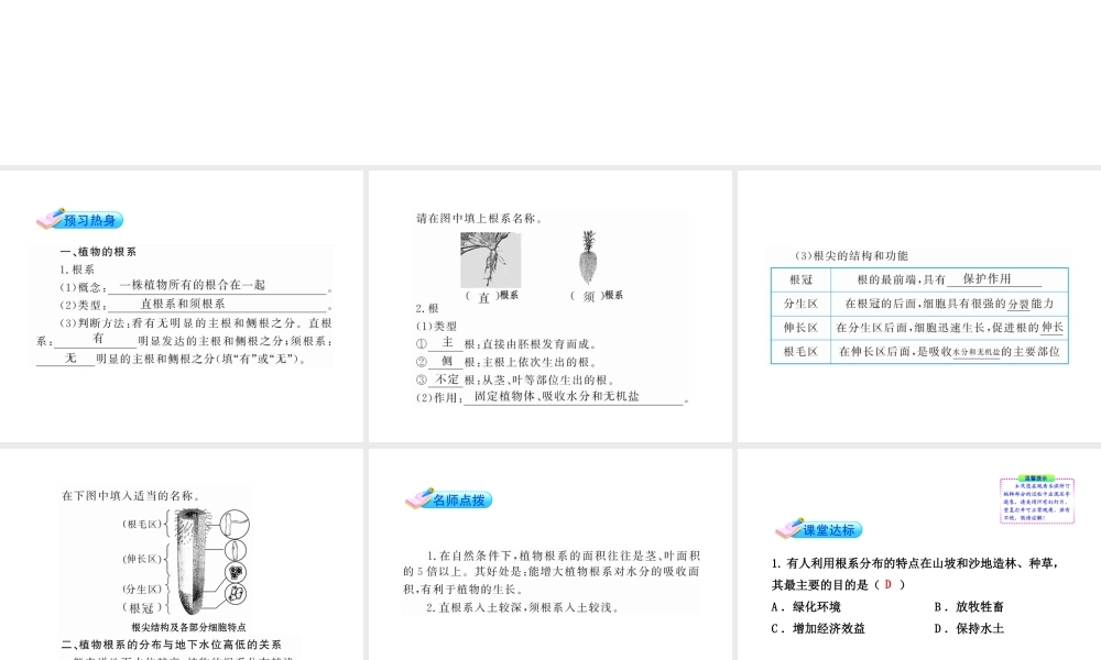 【金榜学案】2011版八年级科学下册 3.3.1《植物与土壤》课件 浙教版