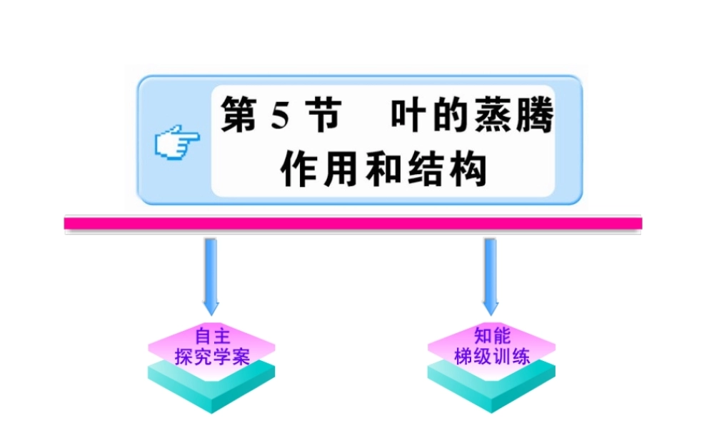 【金榜学案】2011版八年级科学下册 3.5《叶的蒸腾作用和结构》课件 浙教版